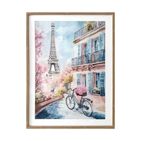 Cuadro 60x80 City Paris  Bici