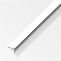 Angulo 20X10 Aluminio Brillant 2.5m