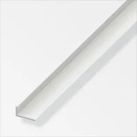 Angulo Pvc Bco30X20mm 1m