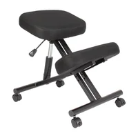 Silla de Rodadura Ergonómica 46x64x34 cm