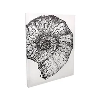 Canvas Concha Artist 40x50 cm