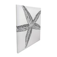 Canvas Star Artist 40x50 cm