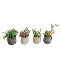 Suculenta Artificial D13 cm