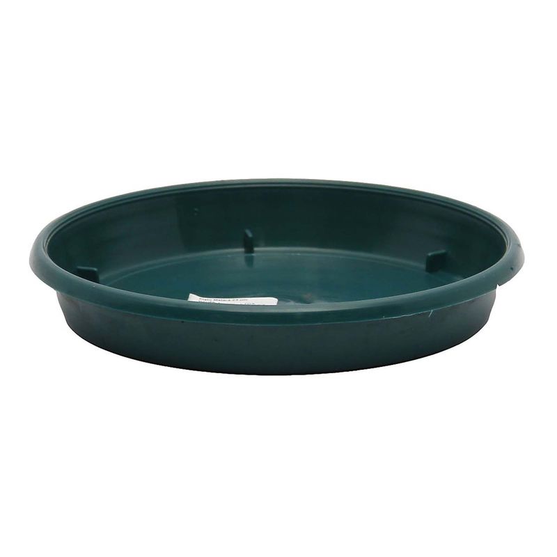 LEONARDO HOME 018542 MATERA 6er Set Teller, Keramik, Grün