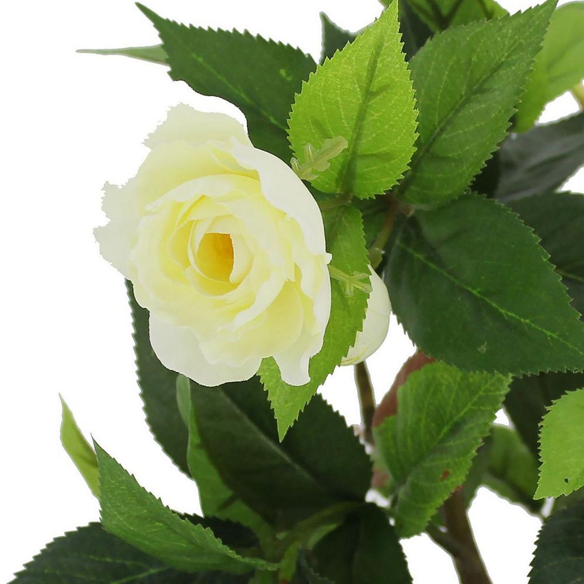 Planta artificial camelia blanca 22 x 17 cm, marca Just Home Collection - Foto 2