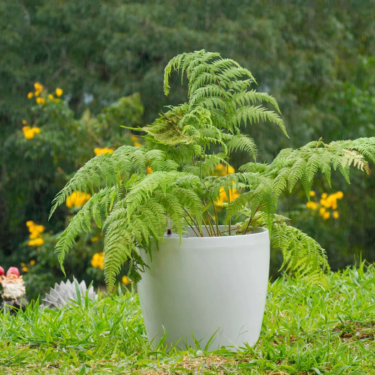 Just Home Collection - Maceta autorregante 45 x 42 cm