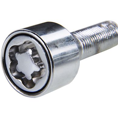 Set de Tornillos Cromados M12x1.25