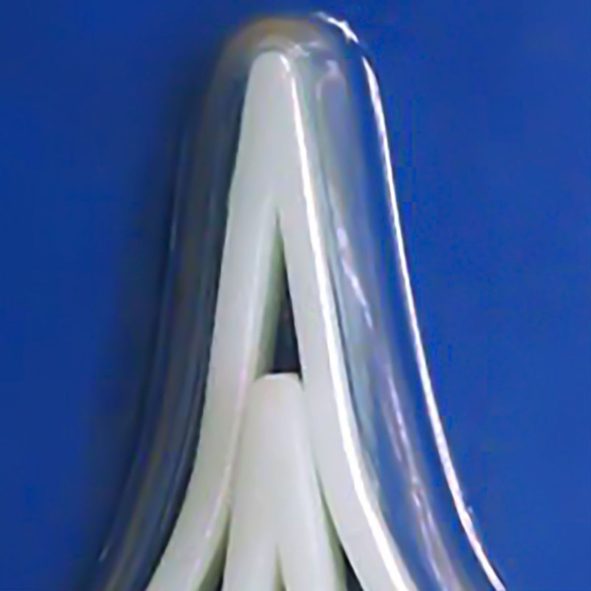 Humboldt - Repuesto clip limpiafondos