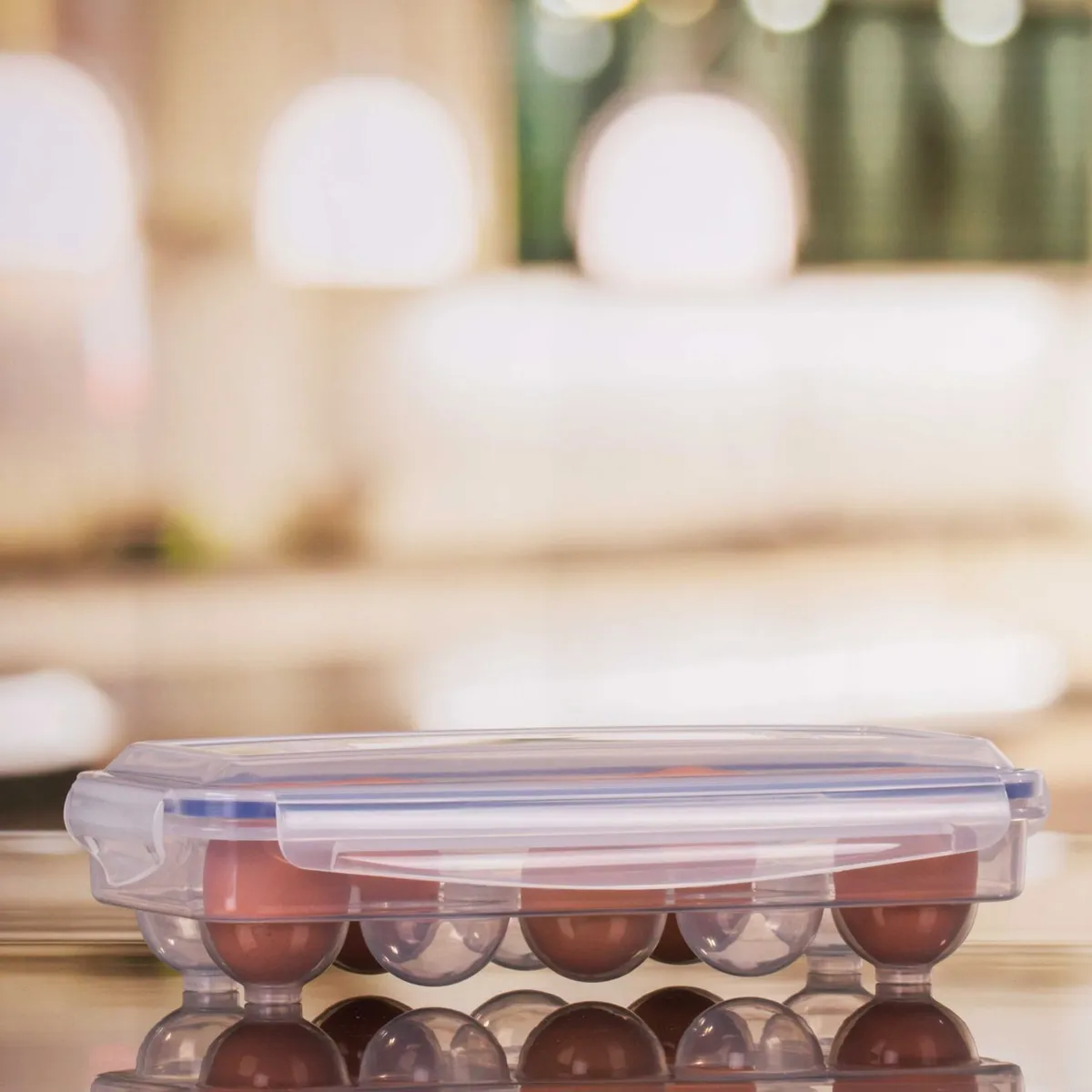 Just Home Collection - Contenedor de clip para 10 huevos plástico