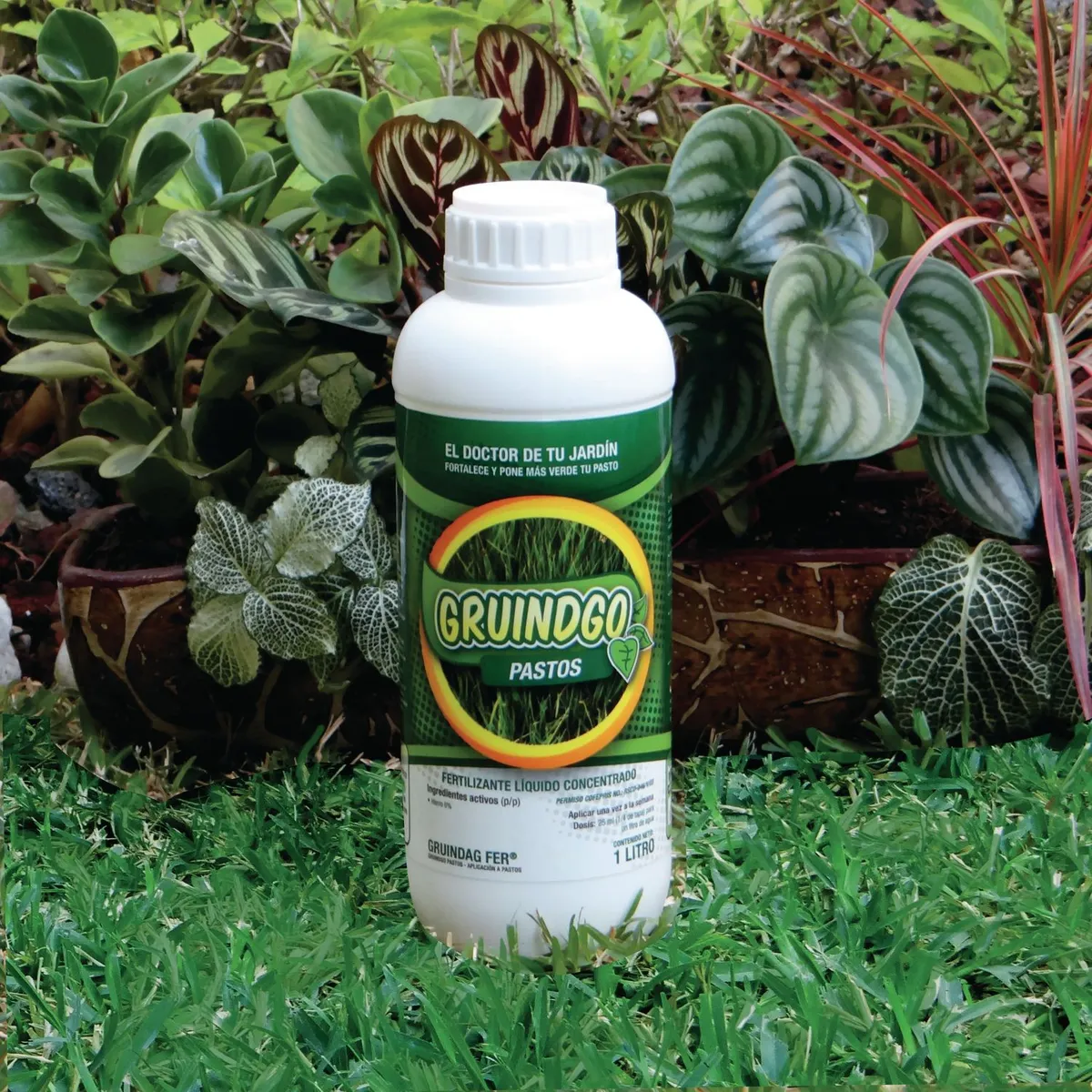 Gruindgo - Fertilizante líquido concentrado p/ pasto 1 L