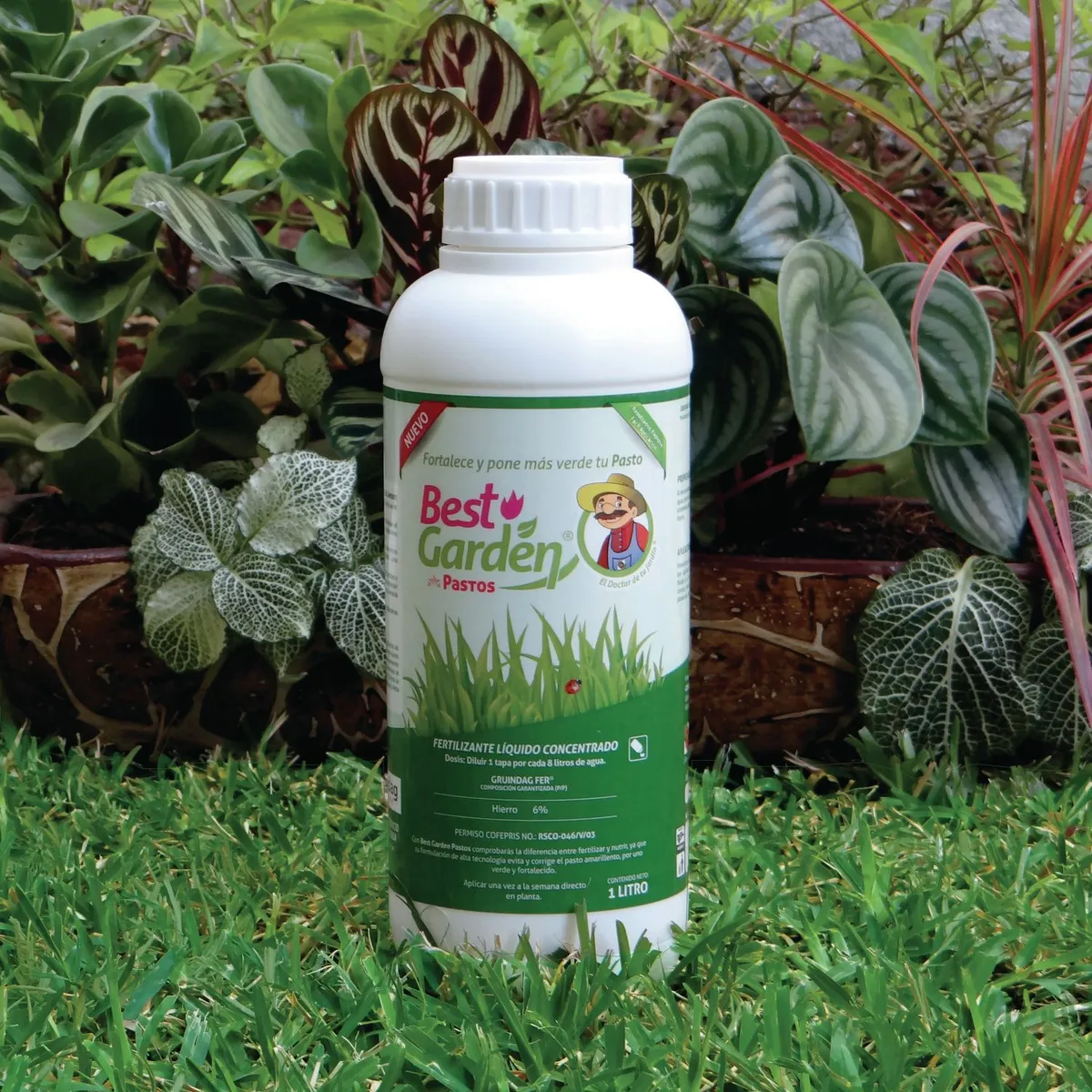 Best Garden - Fertilizante líquido concentrado p/ pasto 1 L