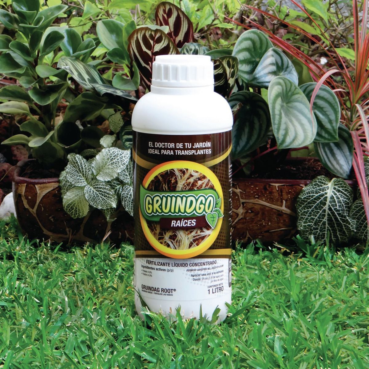 Gruindgo - Fertilizante líquido para incrementar raíces 1 L