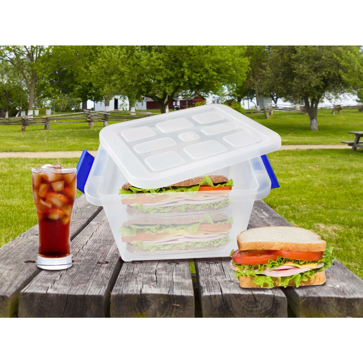 Alica - Caja multiusos Yazmín 12.5 lt