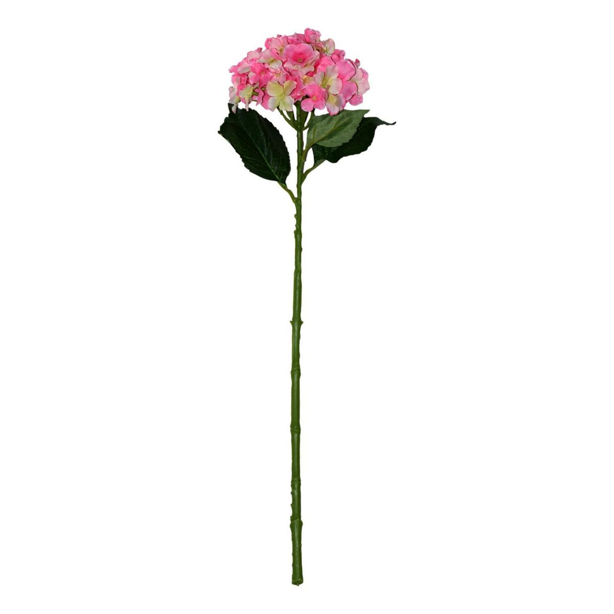 Vara de hortensia rosa, marca Rosedal - Foto Principal