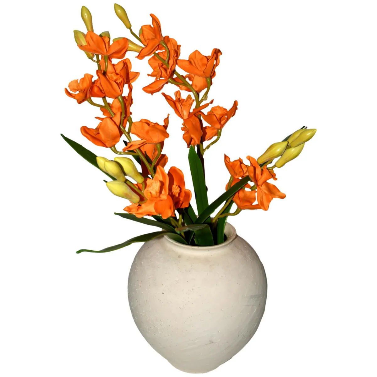 Rosedal - Orquídea c/raíz y hojas naranja