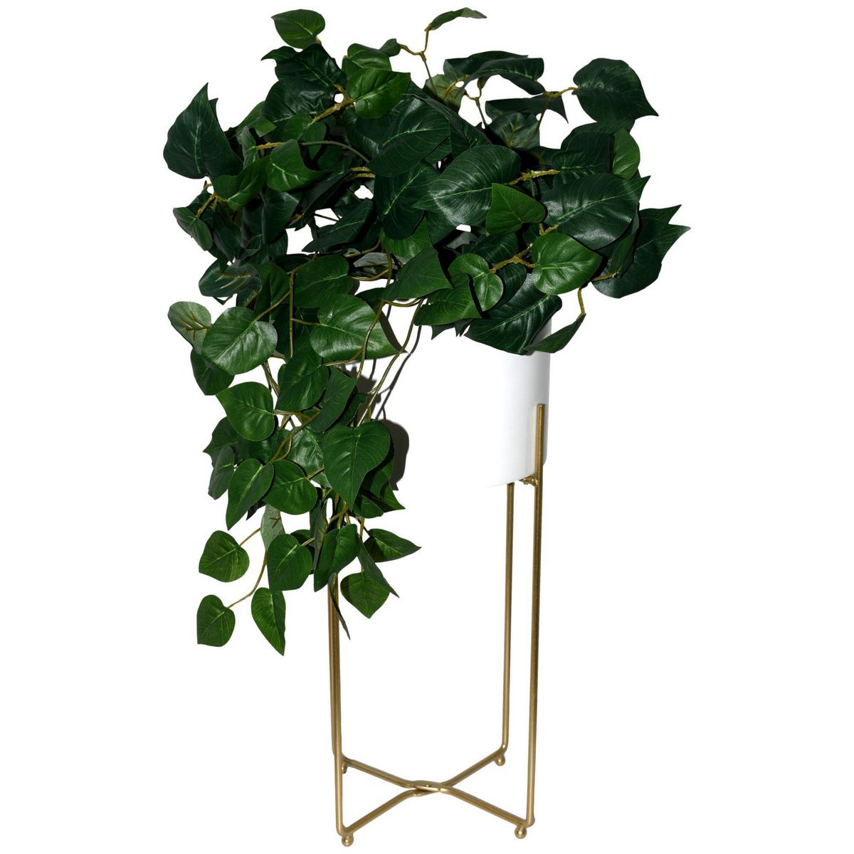 Rosedal - Follaje de limón