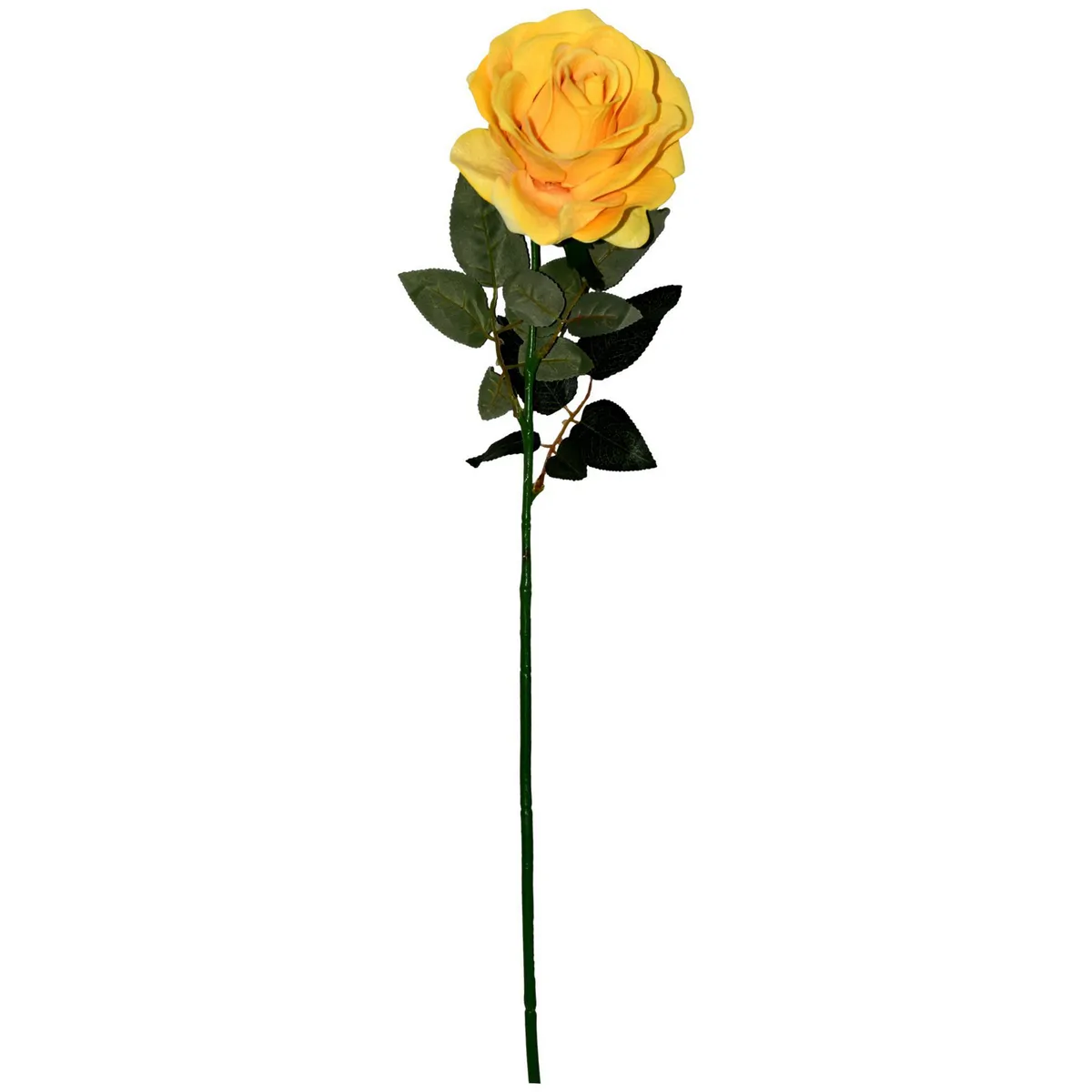 Rosedal - Rosa aterciopelada amarillo