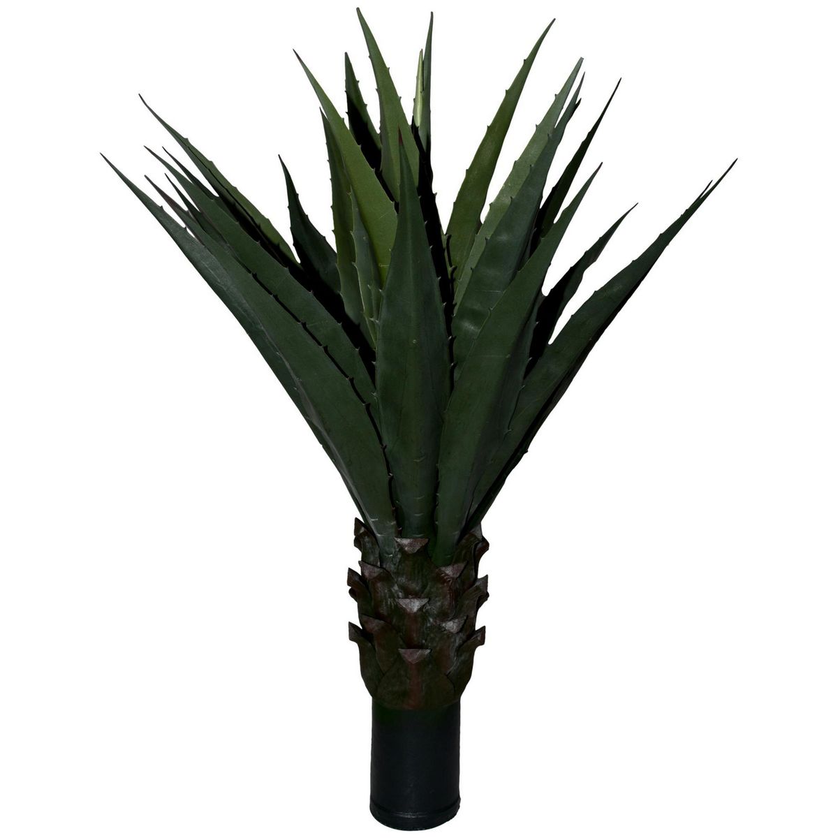 Rosedal - Planta de Agave