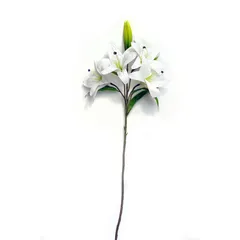 Vara de Lily natural touch crema