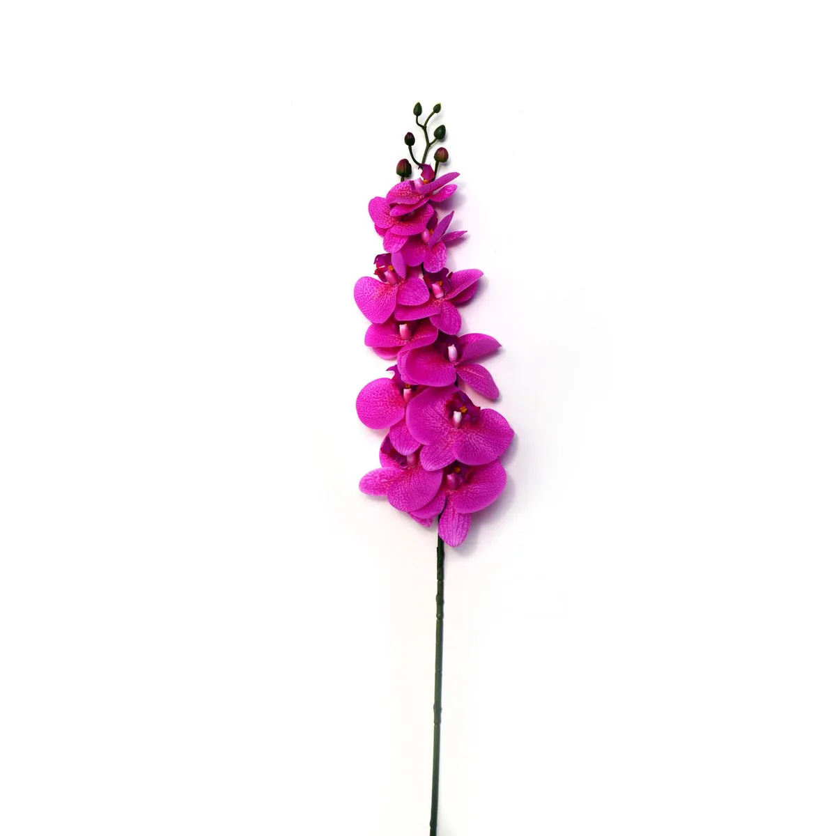 Orquídea natural touch morado, marca Rosedal - Foto Principal