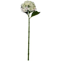 Vara de hortensia crema