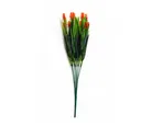 Cebollín con flores naranja