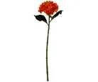 Vara de hortensia naranja
