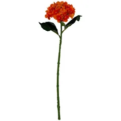 Vara de hortensia naranja