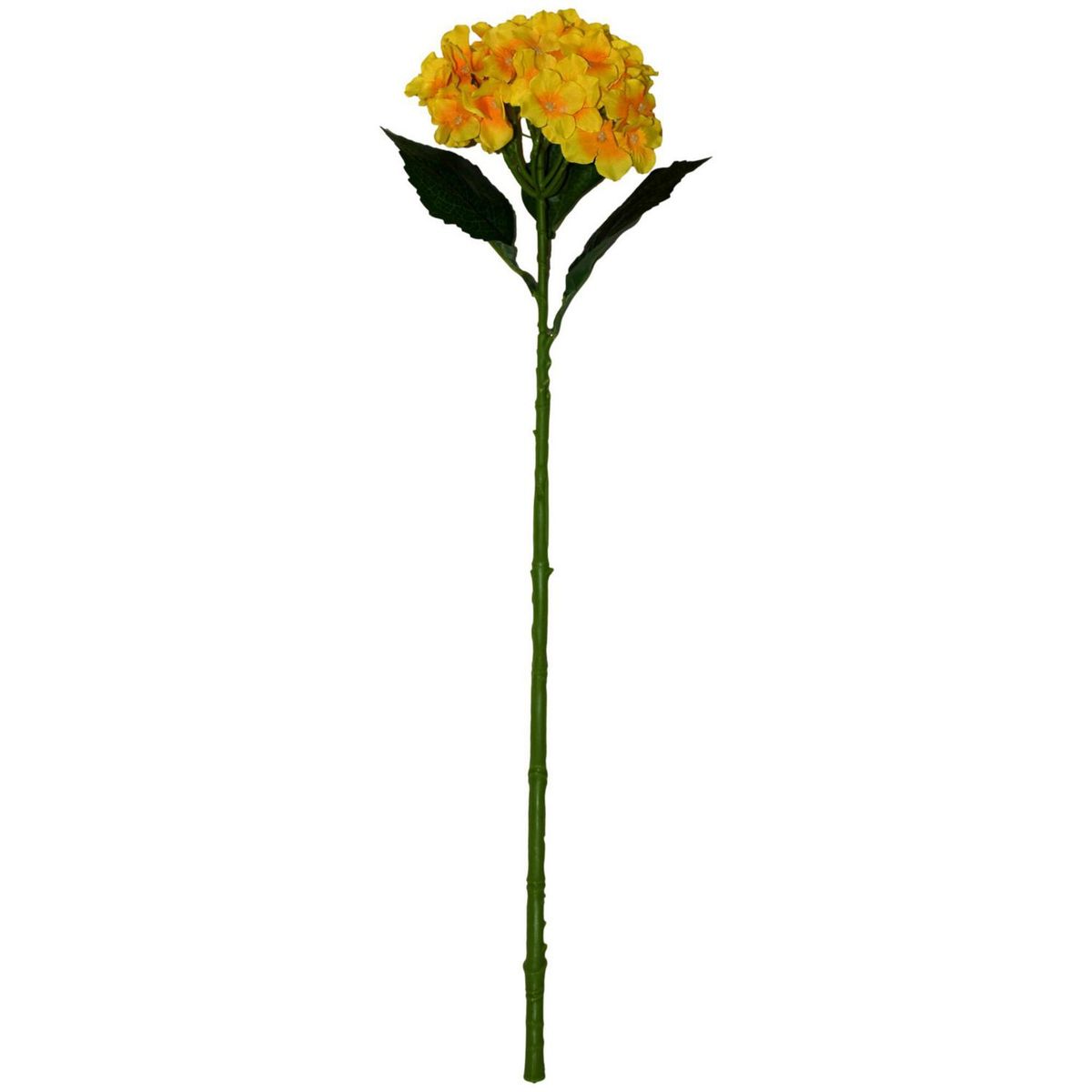 Rosedal - Vara de hortensia amarillo