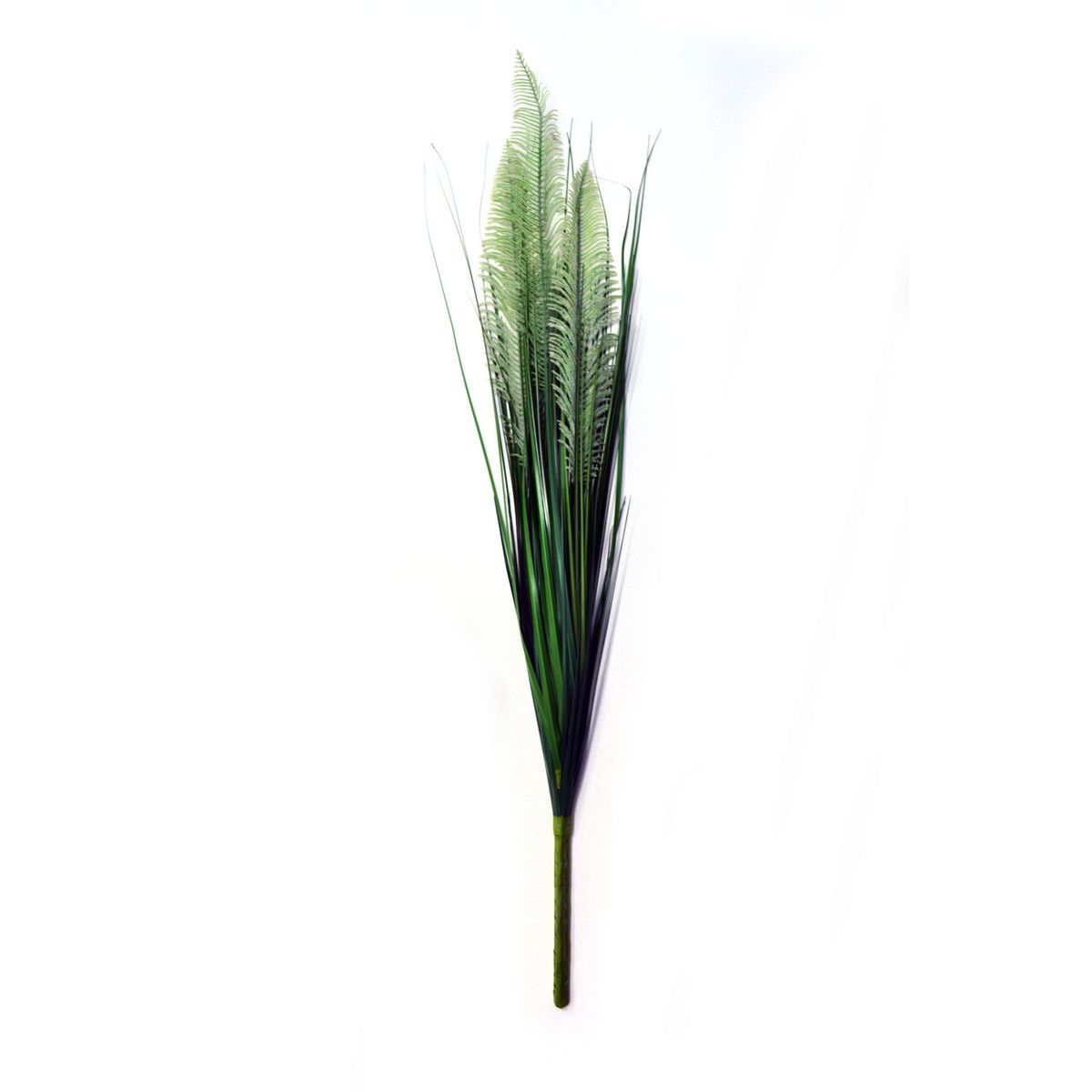 Rosedal - Pasto áloe con helecho verde