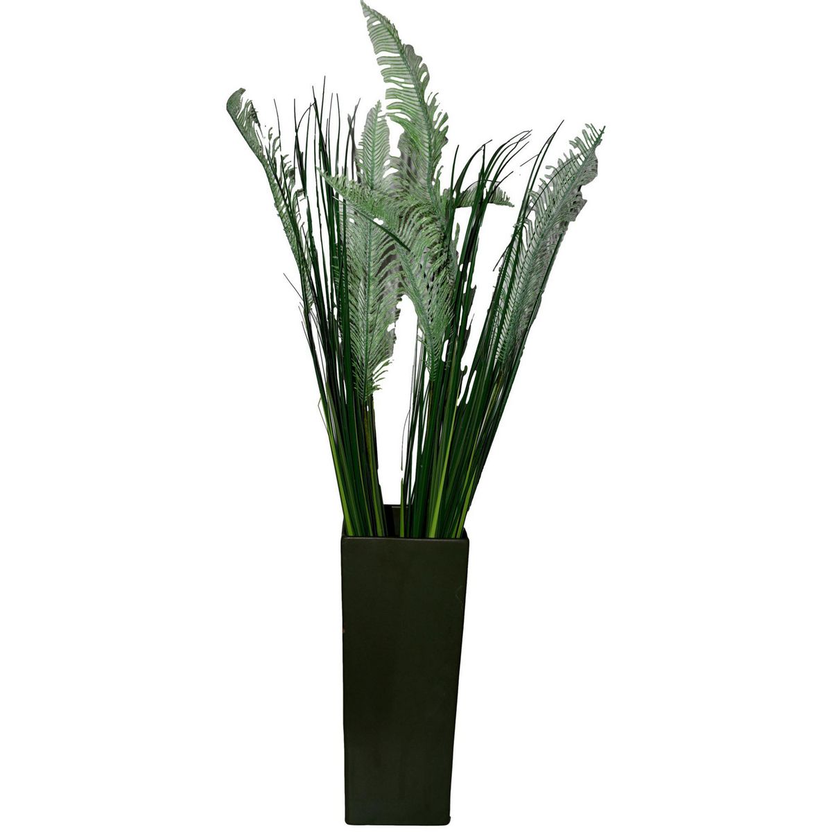 Rosedal - Pasto áloe con helecho verde