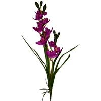 Orquídea con raíz y hojas morada