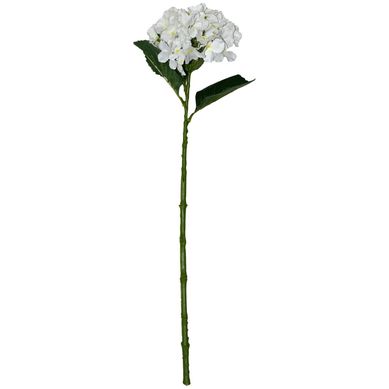 Vara de hortensia blanca