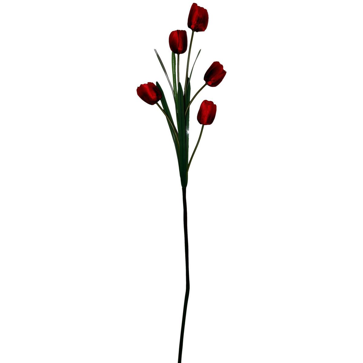 Vara de tulipán rojo, marca Rosedal - Foto Principal