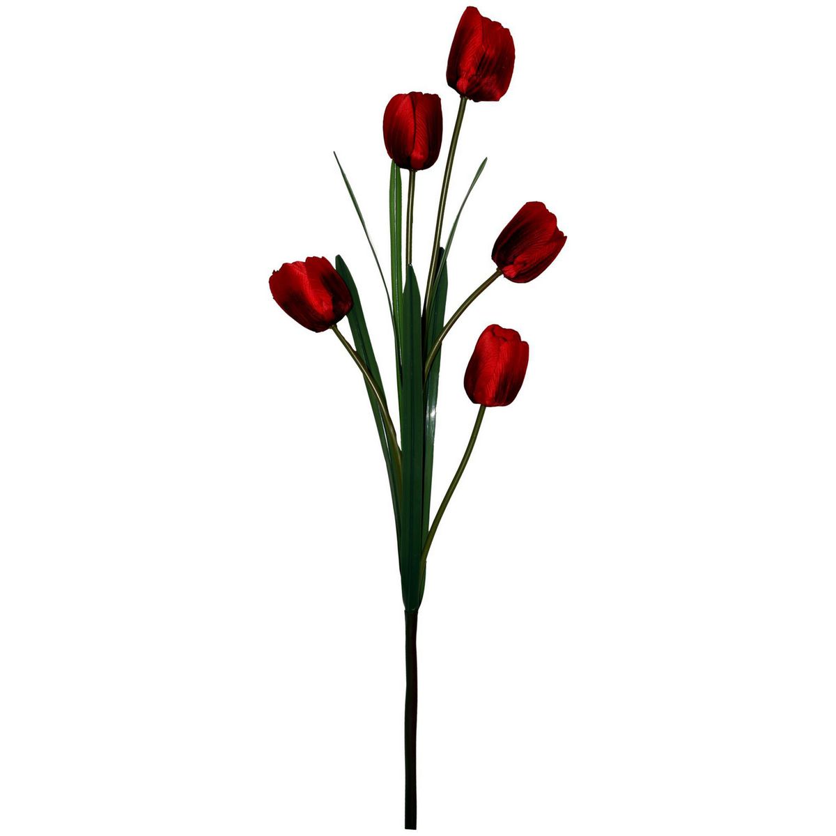 Vara de tulipán rojo, marca Rosedal - Foto 2