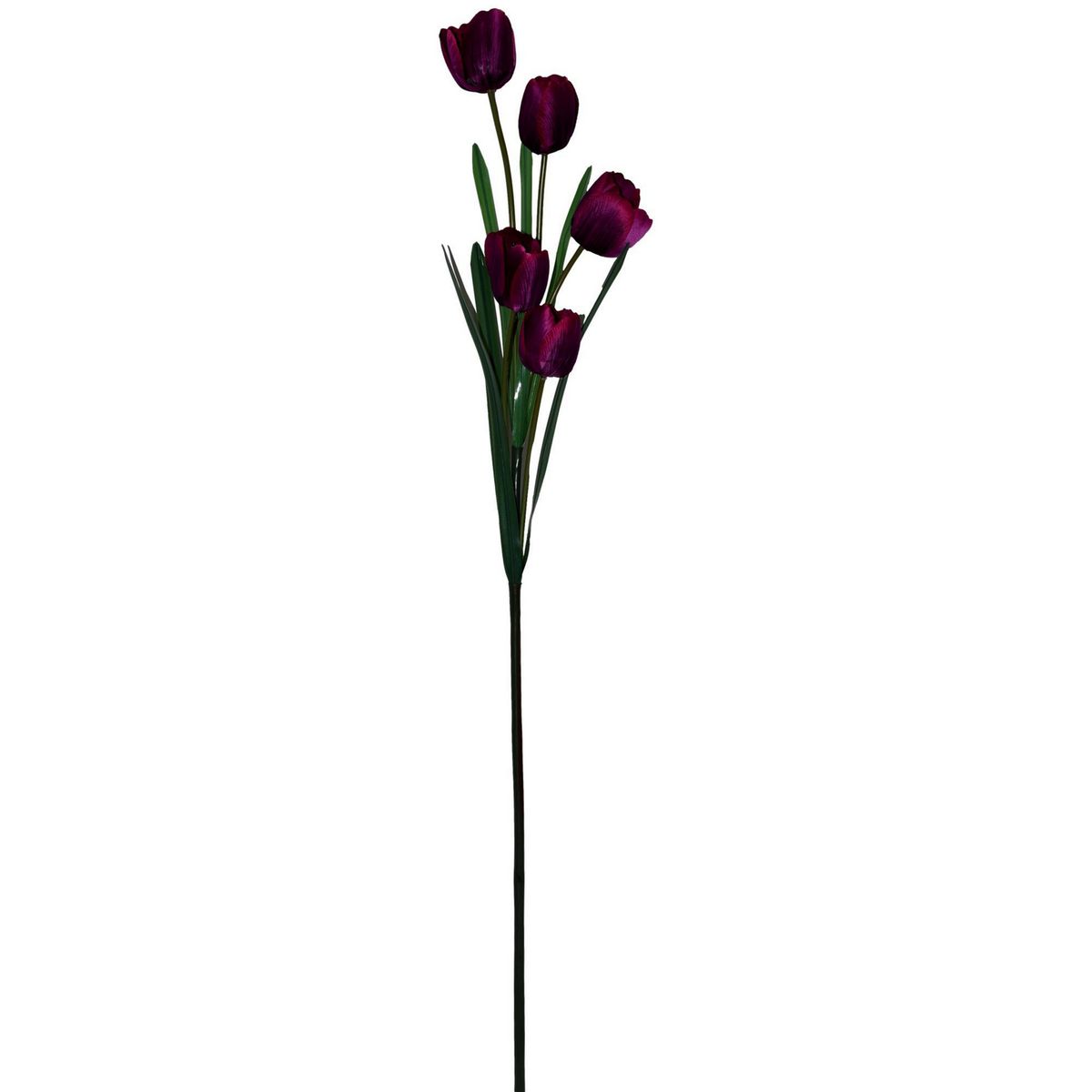 Rosedal - Vara de tulipán morado