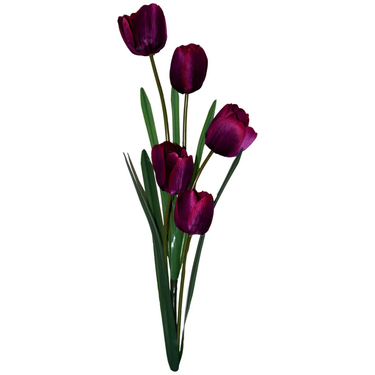 Rosedal - Vara de tulipán morado