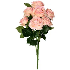 Ramo de 9 rosas rosas