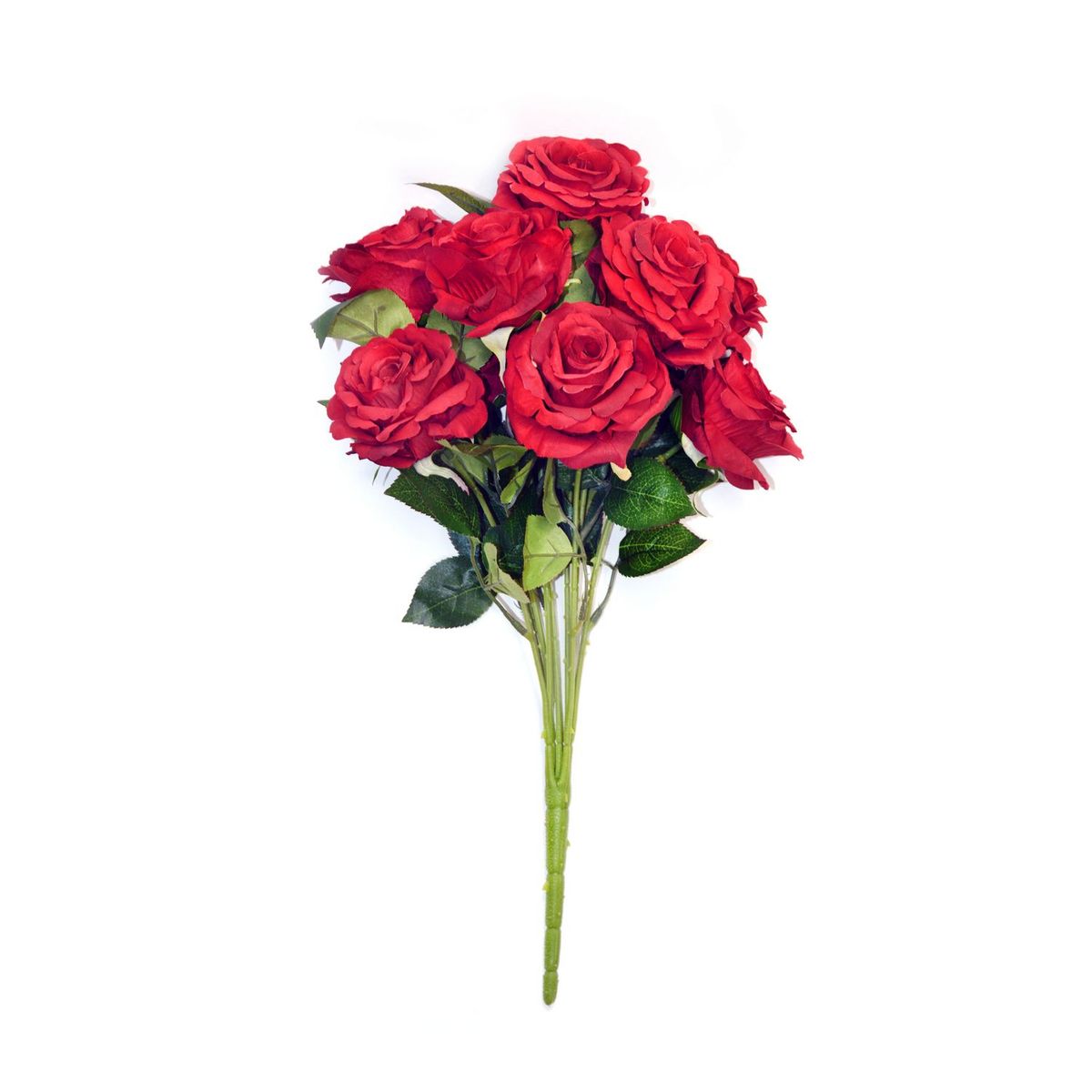 Rosedal - Ramo de 9 rosas rojas