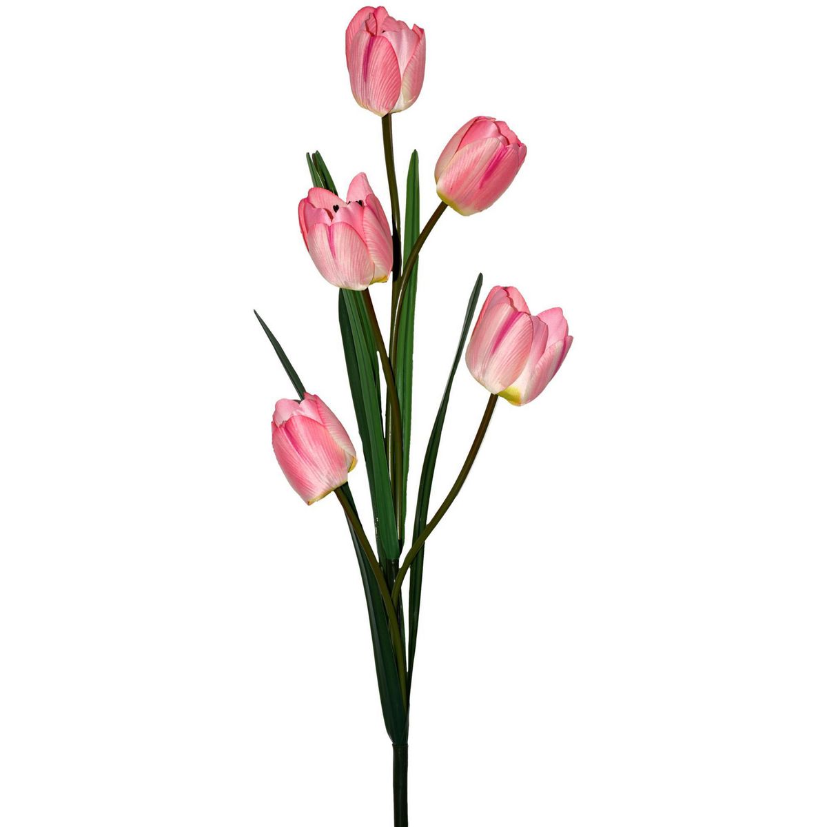 Rosedal - Vara de tulipán rosa