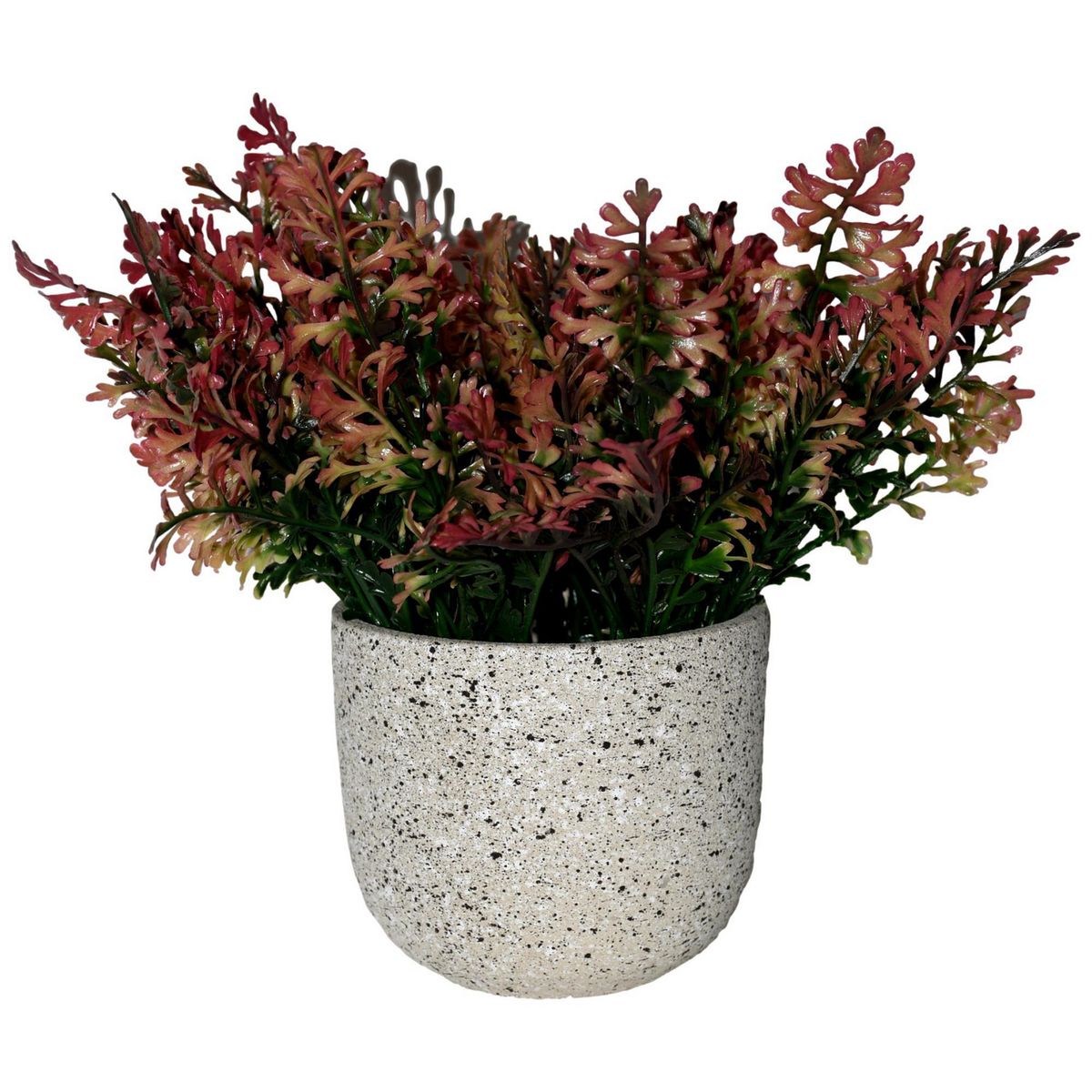 Rosedal - Ramillete de follaje