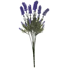 Ramo de lavanda