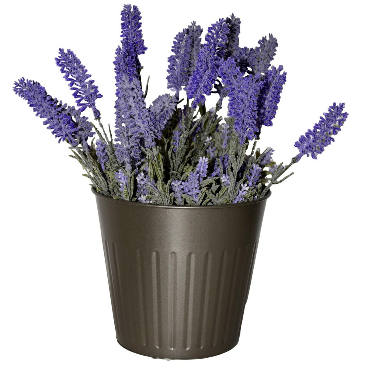 Rosedal - Ramo de lavanda