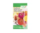 Semillas de zinnia elegante doble