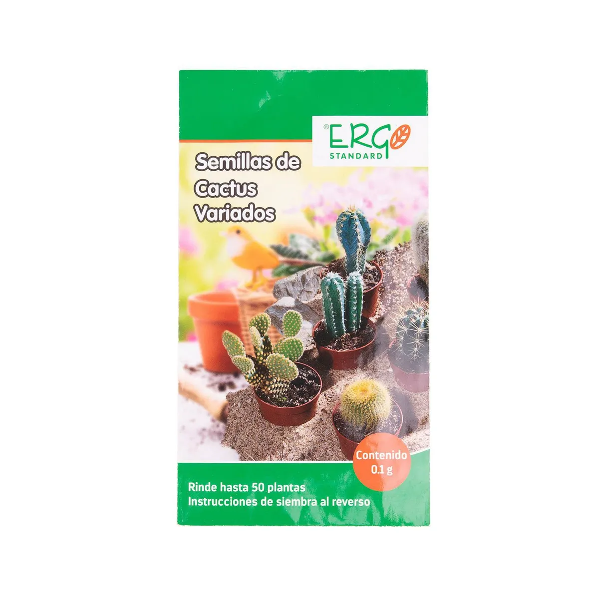 Semillas de cactus variados, marca Ergo - Foto Principal