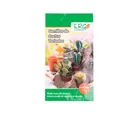 Semillas de cactus variados