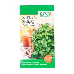 Semillas de albahaca grande verde