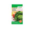 Semillas de lechuga