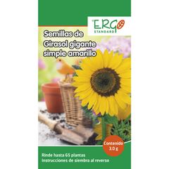 Semillas de girasol gigante