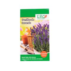 Semillas de lavanda